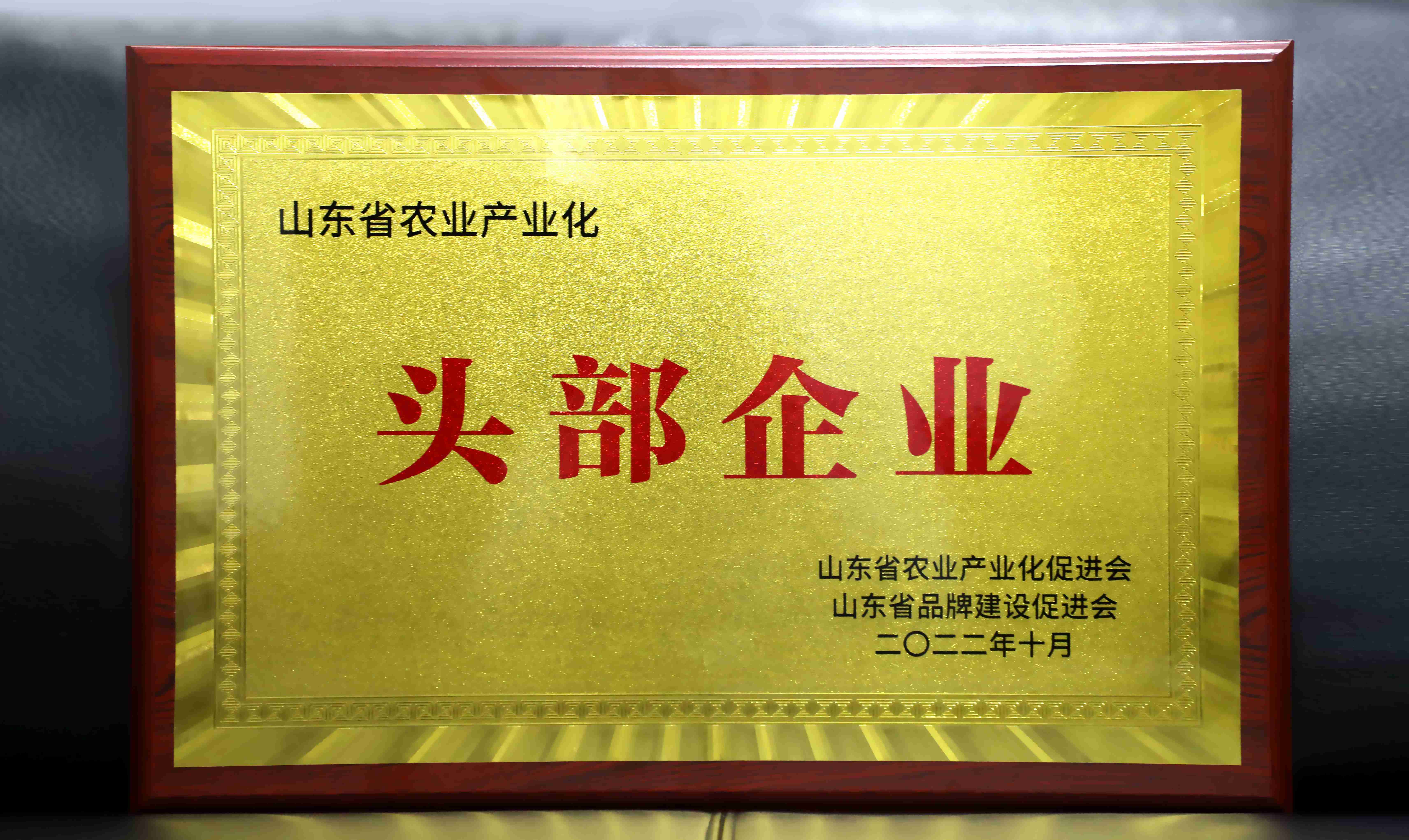 微信圖片_20221118154500(2).jpg 微信圖片_20221118154500(2).jpg